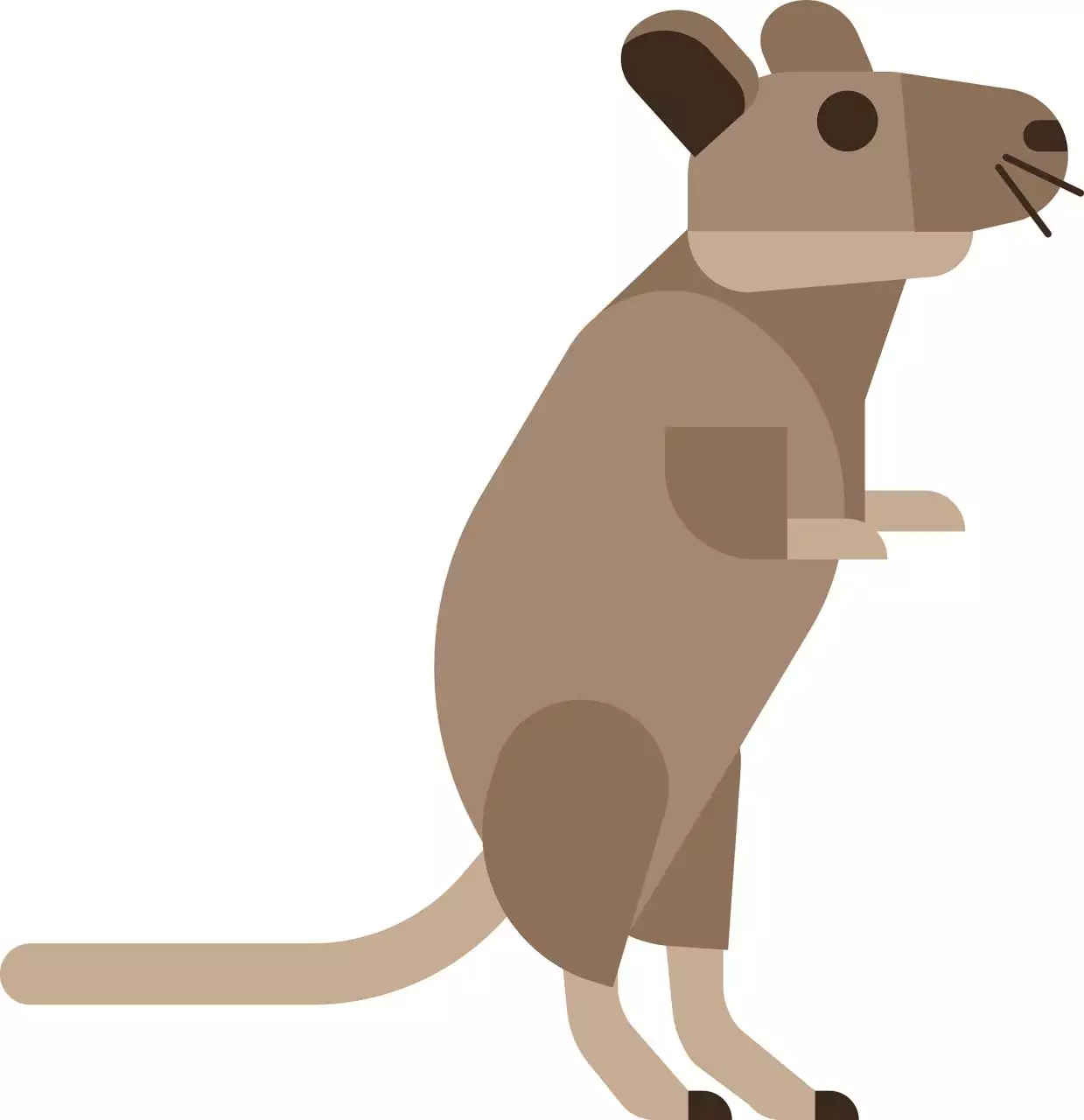 4年属鼠一生大劫年