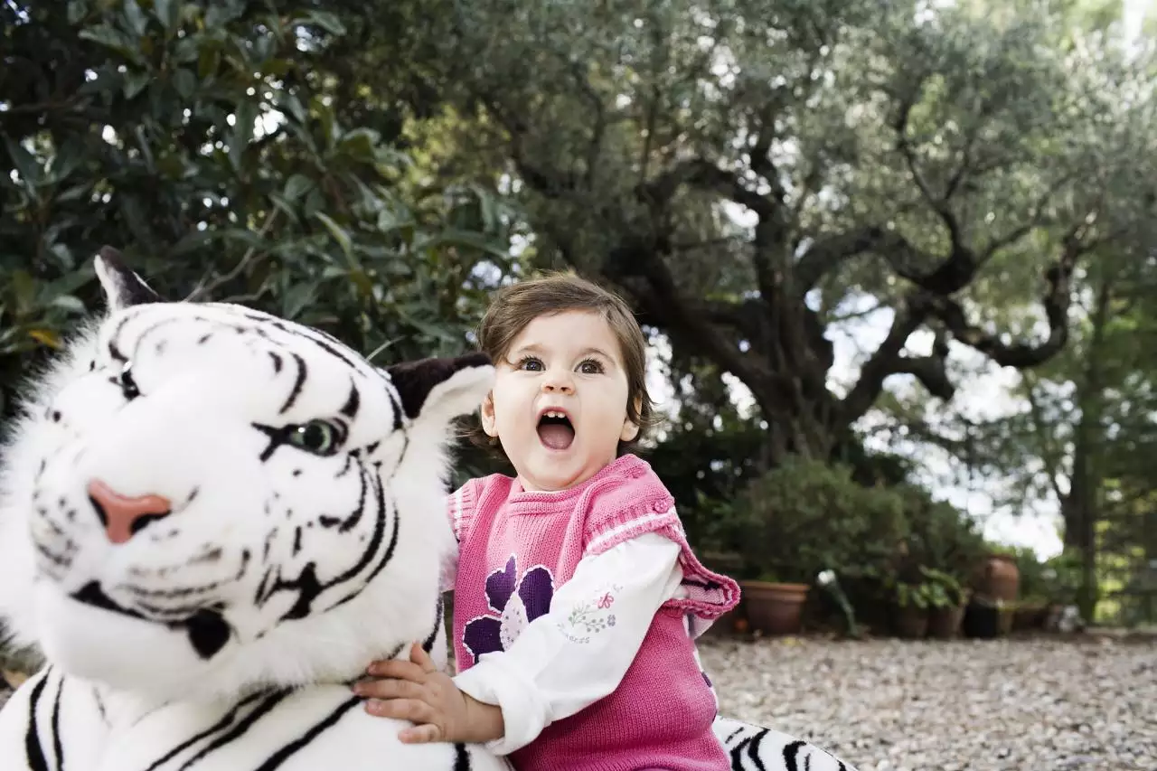 十二属相婚配表属相相克查询 十二生肖婚配相冲相克