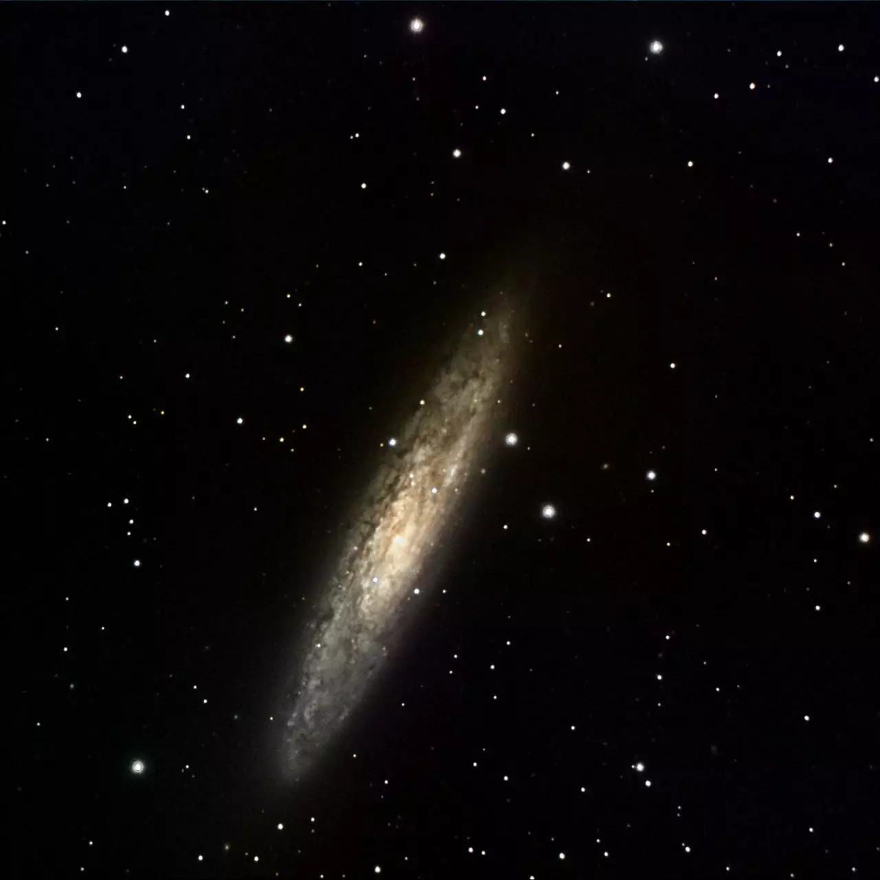 怎么查看自己的星盘 怎么获取自己的星盘