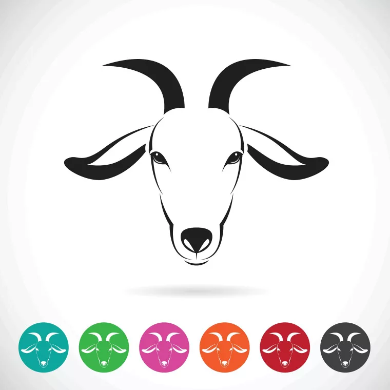 十二星座谁最漂亮 越长越漂亮的6大星座