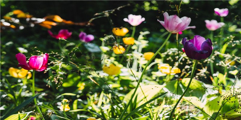 2020年农历四月和闰四月生肖属鼠和生肖属龙订婚黄道吉日