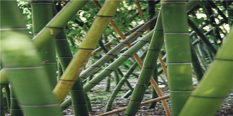 2020年5月和6月生肖属羊和生肖属狗最佳订婚黄道吉日