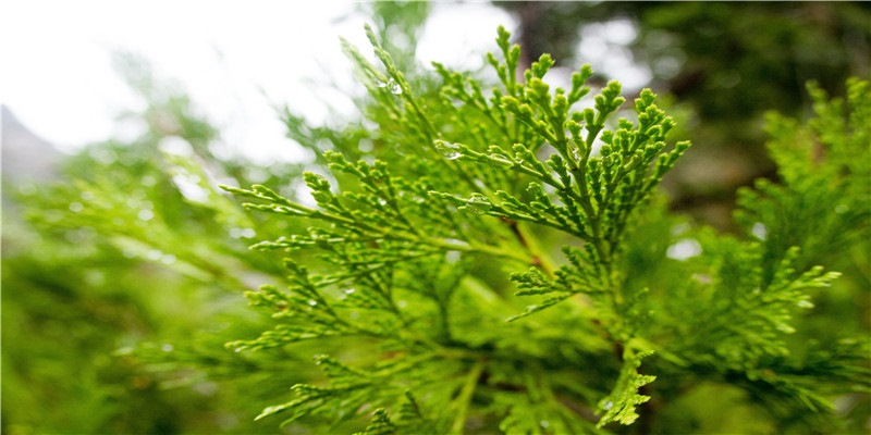 2021年阴历一月最适合装修开工的好日子