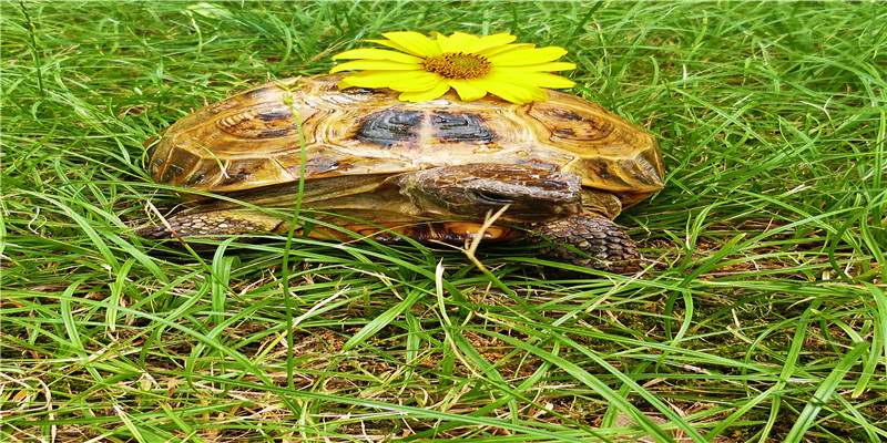 2021年3月26日 农历二月十四是开工黄道吉日吗