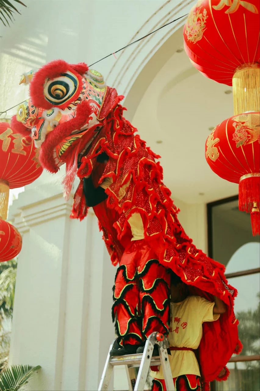 为什么不建议生龙宝宝 生个属龙宝宝好不好