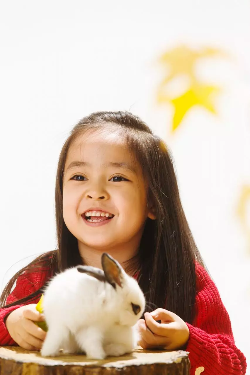 十二生肖年份排列顺序表 肖鸡生人四五月运程