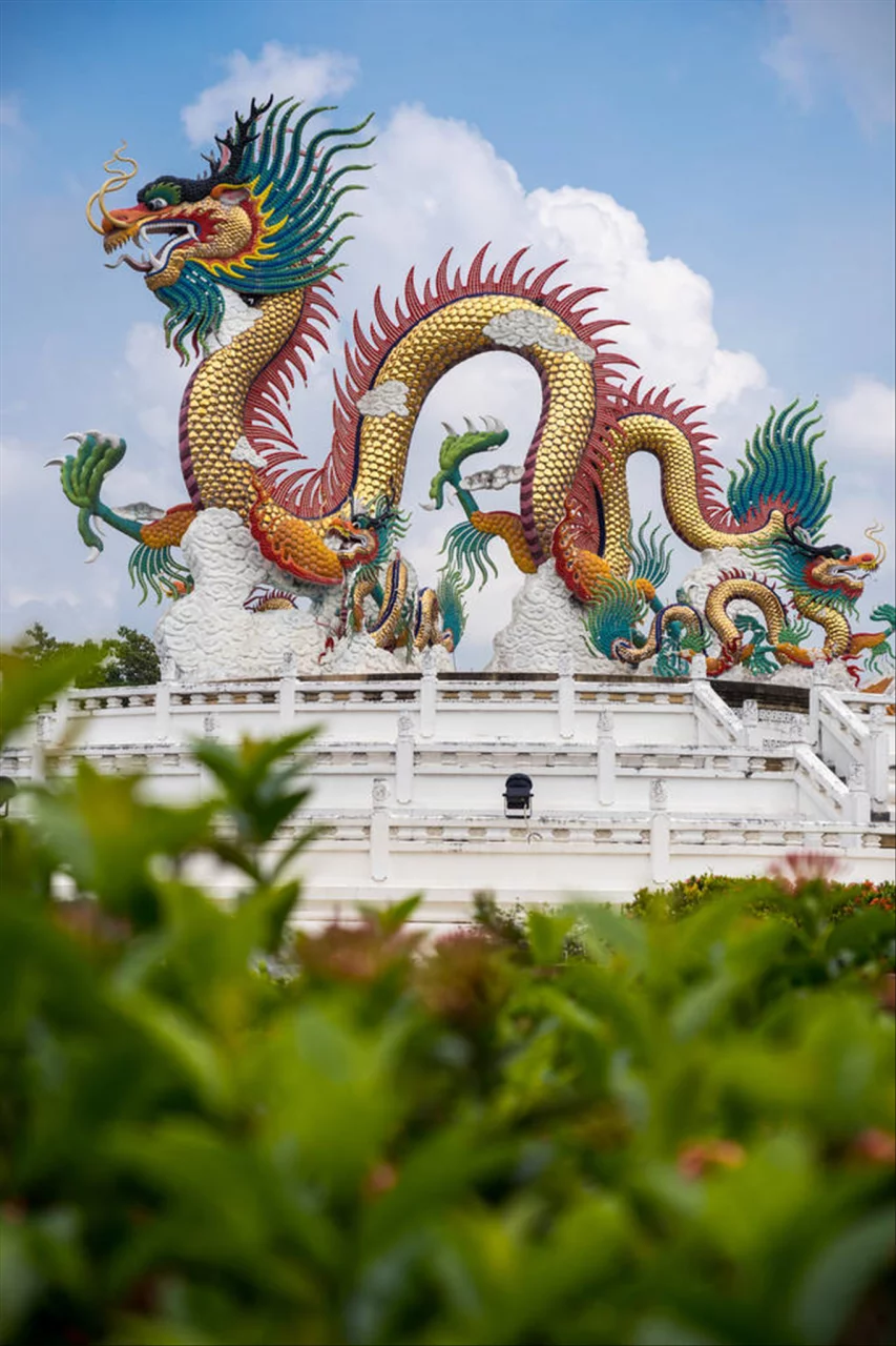 十二生肖命理运势 生肖每日运势