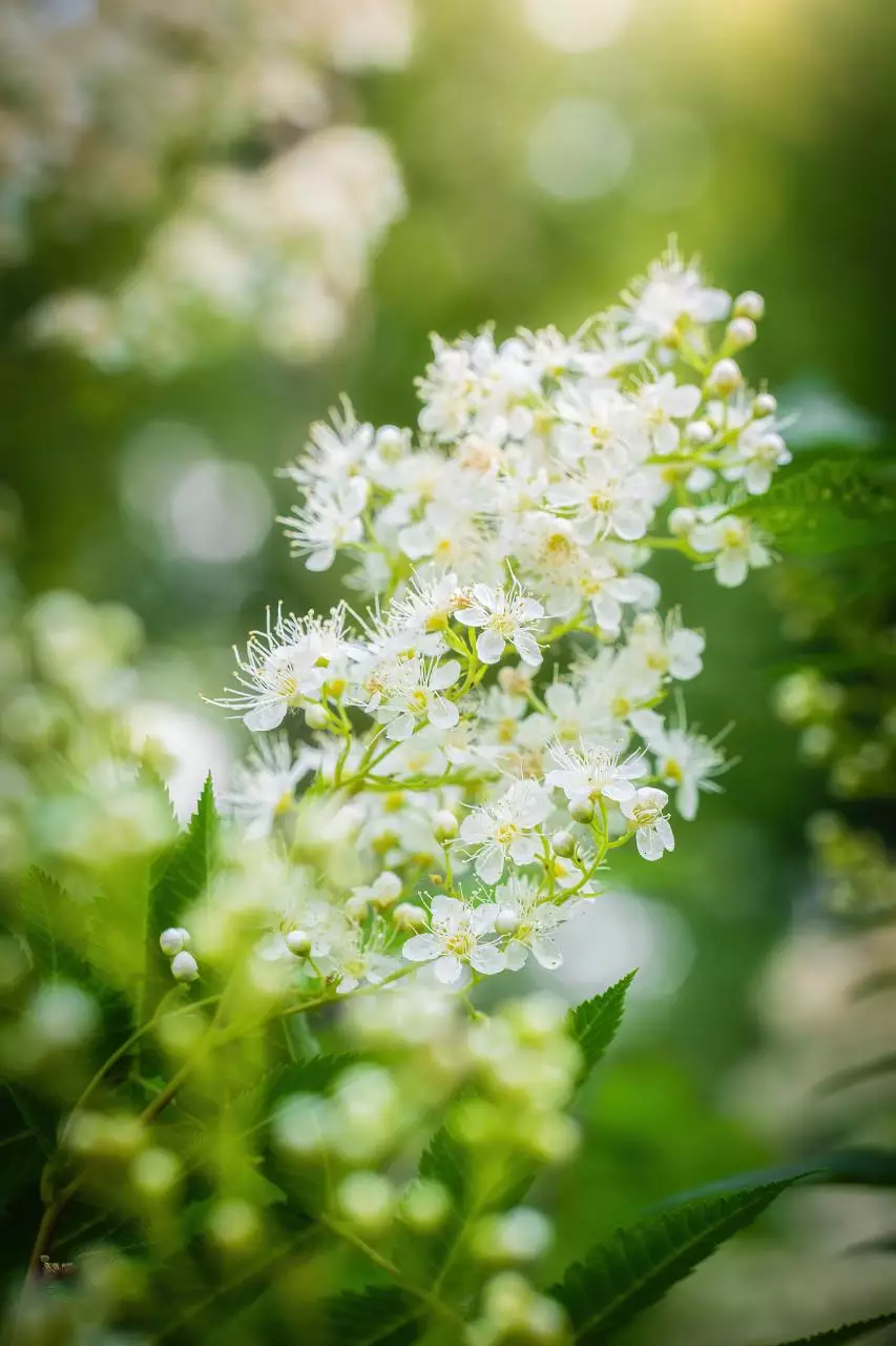 最准的男女婚配命宫表 测生男生女最准确的5个方法