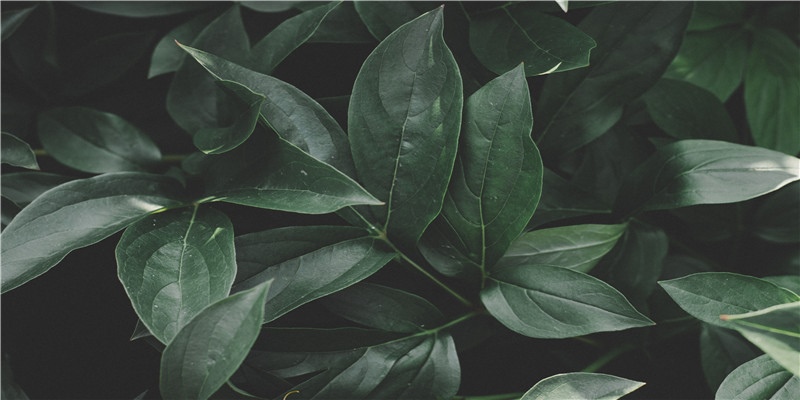 天秤座的女生五官漂亮，天秤座女生适合什么发型