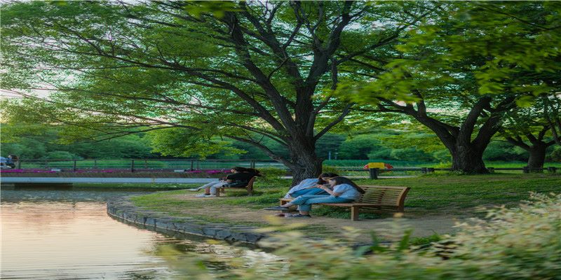 不得不知的十二星座发财指南3