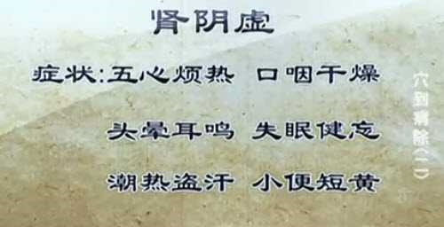 1、如何分辨肾阴虚与肾阳虚（白鹏）全说