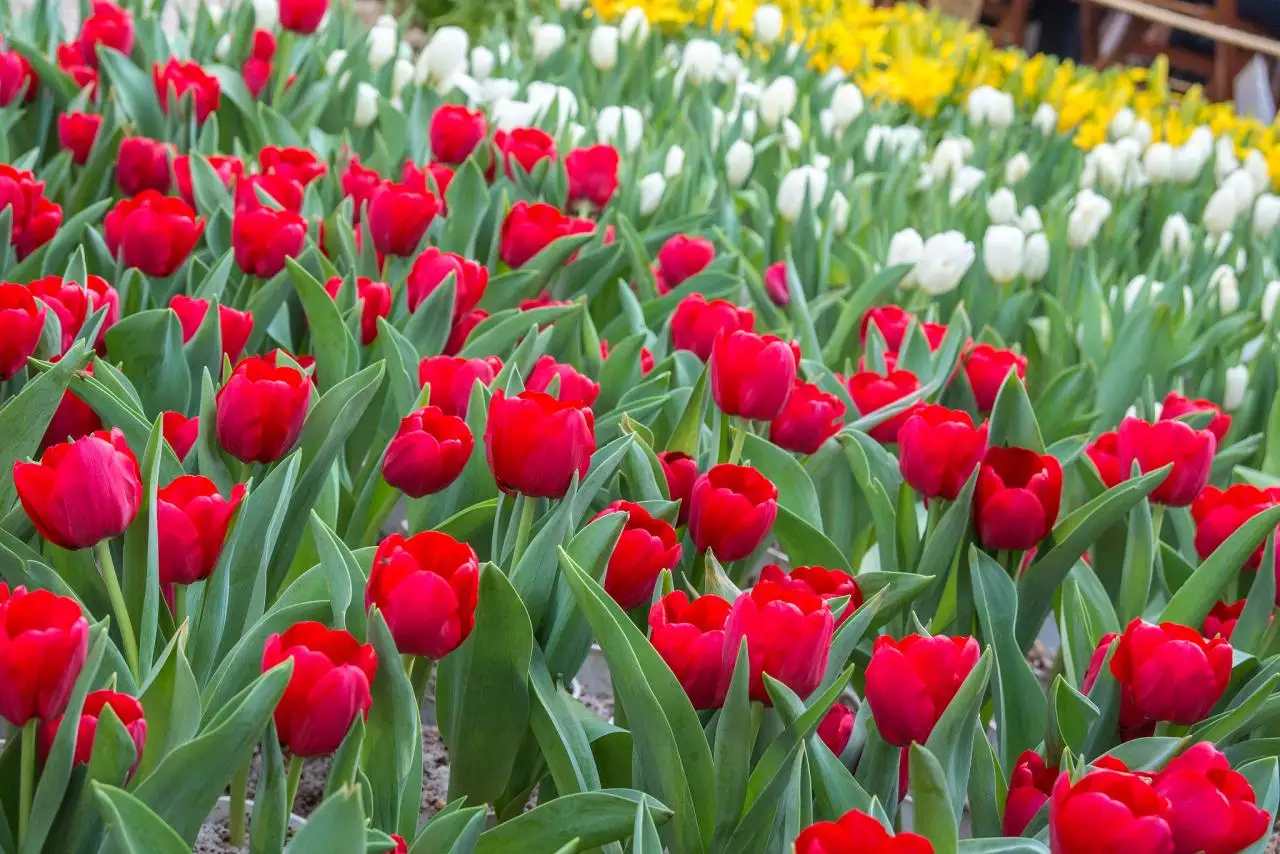 夫妻相克表可以信吗 夫妻相克是什么意思?