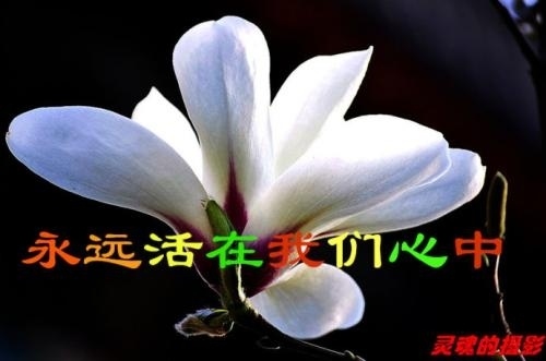 2、家里老人去世祝愿走好的话