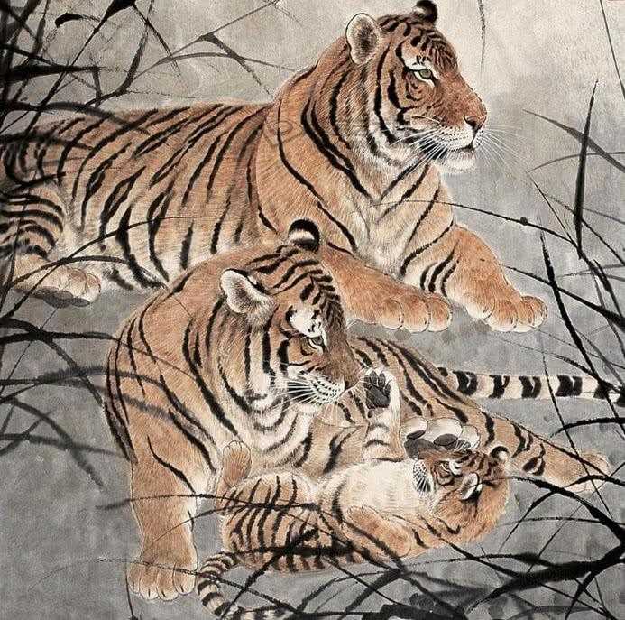 2、属虎的几月出生**