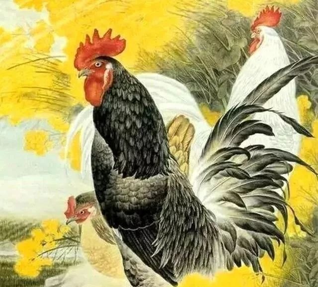 1、属马的几月出生最不好