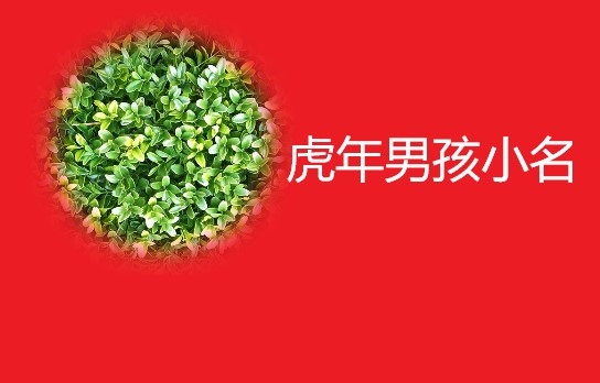 2、男孩乳名属虎