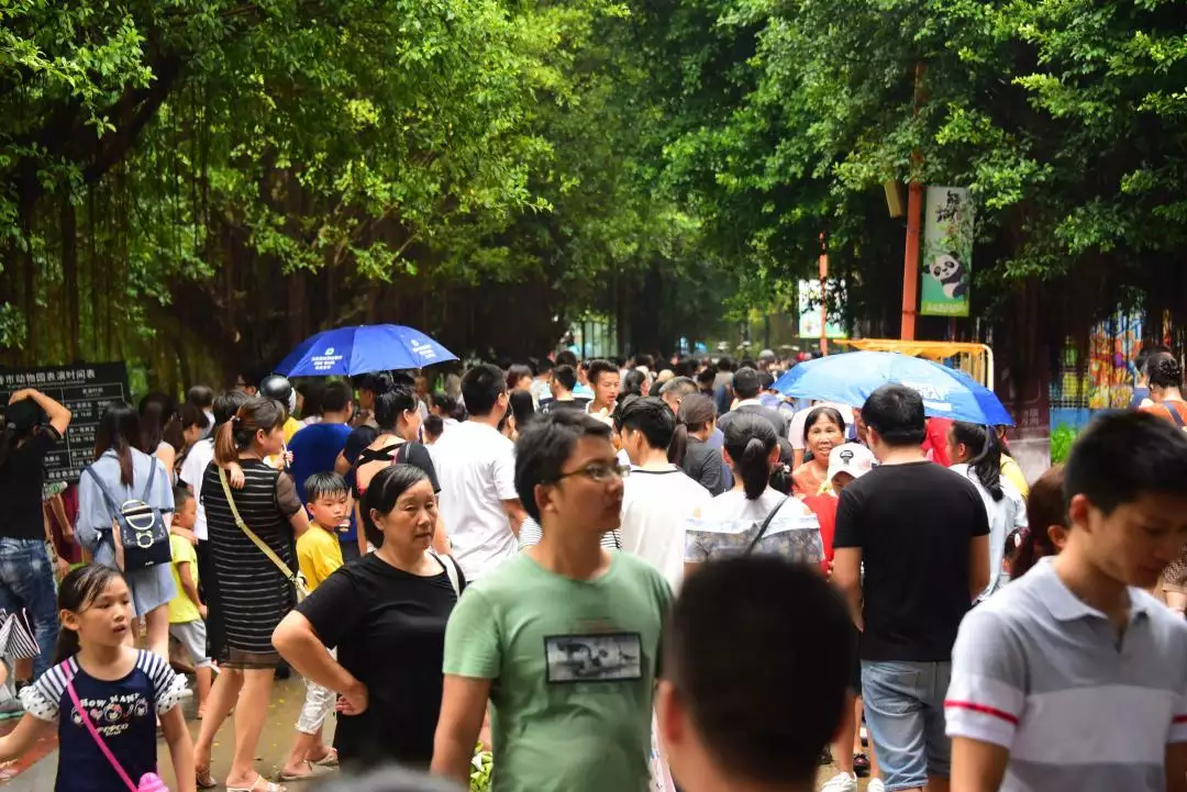 4、人山人海猜一生肖