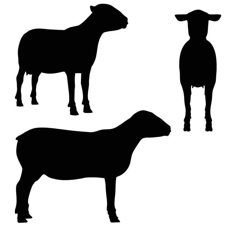 查询星座十二宫星盘表 免费查星盘分析2022