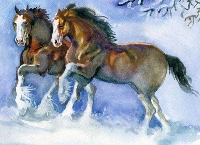 2、有男属马和女属马相配很好的一对夫妻吗