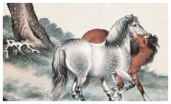 2、78年属马43岁会遇上什么灾难