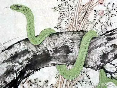 4、年属蛇的人寿命多大？