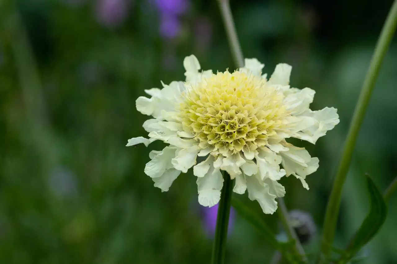 免费输入姓名查姻缘 两人姻缘测试