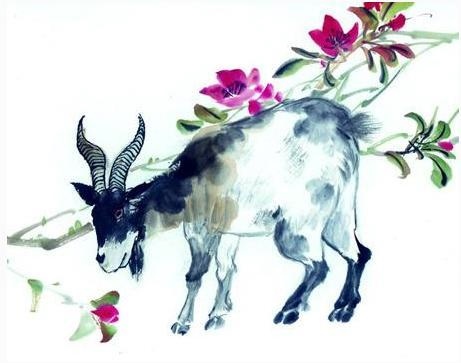 1、属羊女和属虎男相配吗属羊女和属虎男的合不合