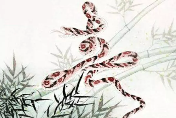 3、年蛇女45岁中年运气每月11月运势？