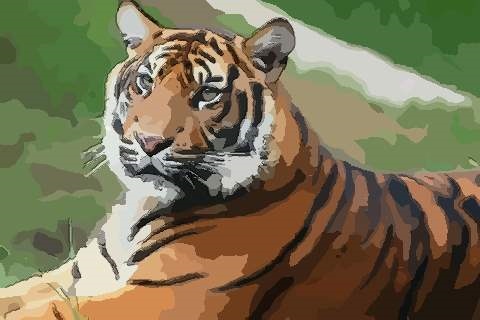 1、年属虎是什么命74年属虎何时走大运