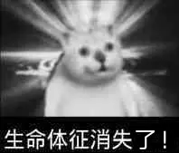 3、什么是安乐死