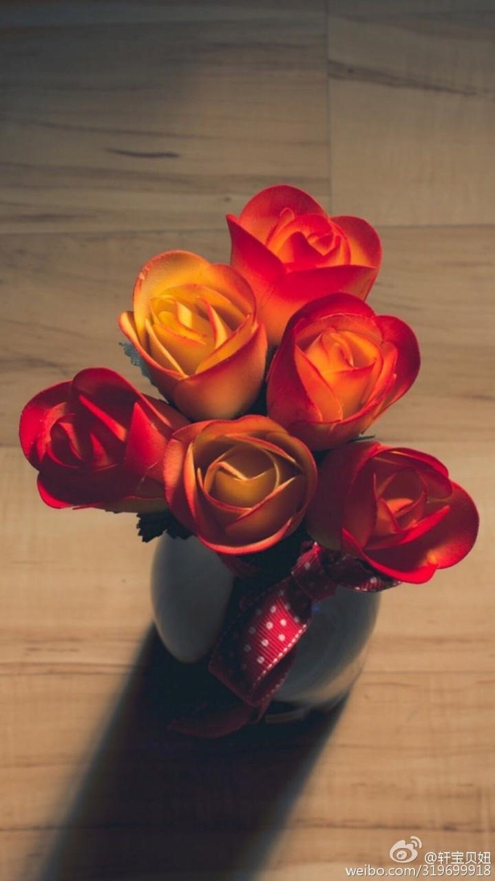 2、安乐死用的是什么**