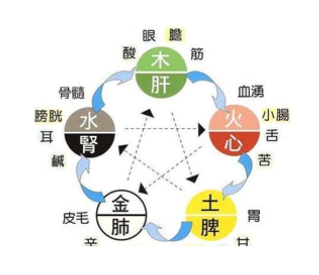 2、金木水火土分别对应人体什么