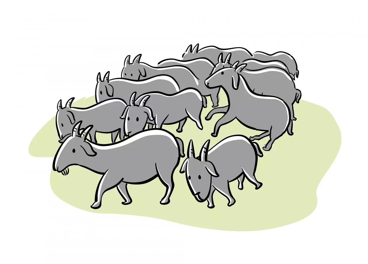 农历每日属相查询今天属什么 黄道吉日查询