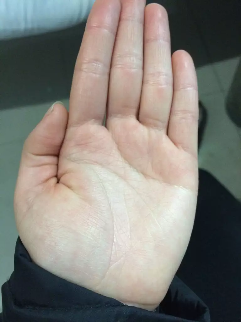 3、有会看手相的吗？