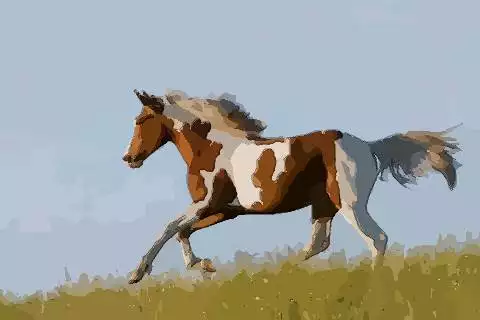 4、年到底是金马还是土马?