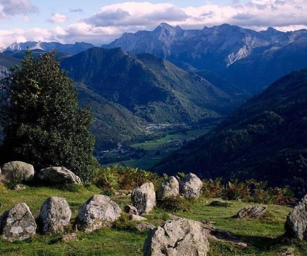 2、大佬嘉代是什么背景？