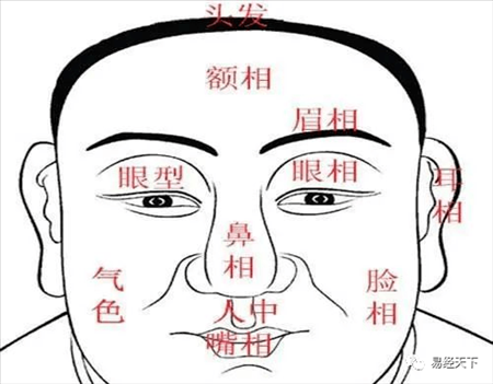 2、帮我解释一下什么叫人中龙凤，马中赤兔