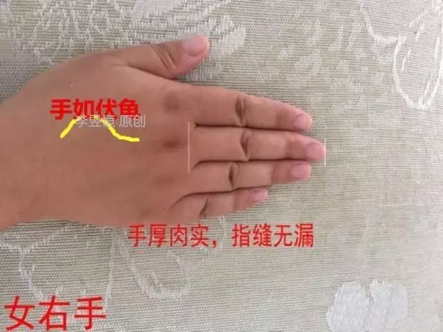 4、手相里虎短龙长是什么意思