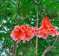 1、招财又吉利的微信名字非常旺财的微信名