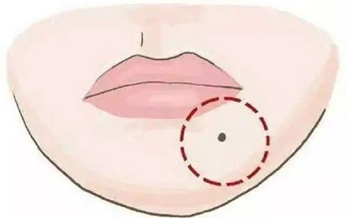 3、师从，人中龙凤，写出一本奇书被皇帝封禁是谁？