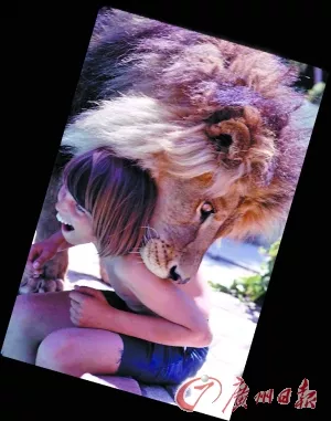 3、狮子女不理我是怎么回事？