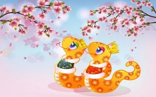 3、属蛇女**上等婚配