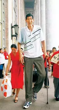 3、世界**巨人有多高?