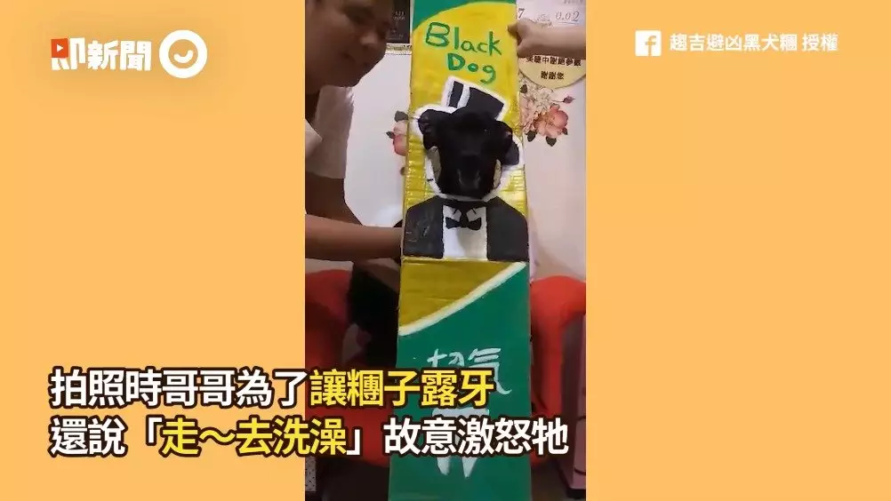 4、大象牙膏实验步骤和原理是什么？