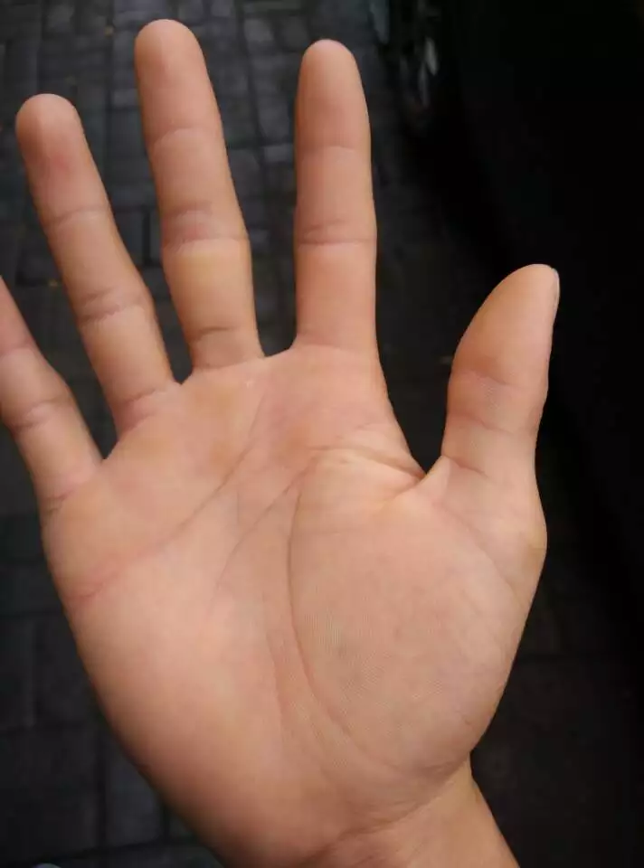 4、手相扫一扫测试法