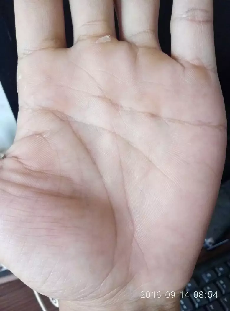 4、手相扫一扫测试法