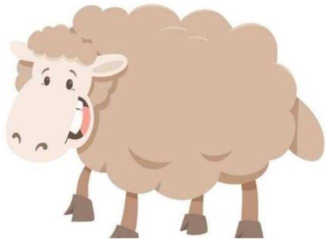 2、属羊女30岁后命运91年属羊女30岁后是什么命运