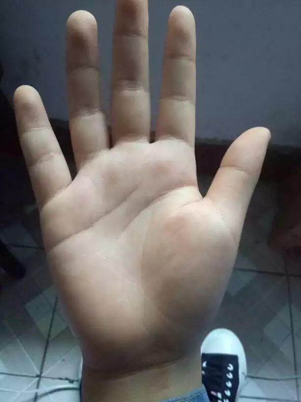 4、手相扫一扫测试法