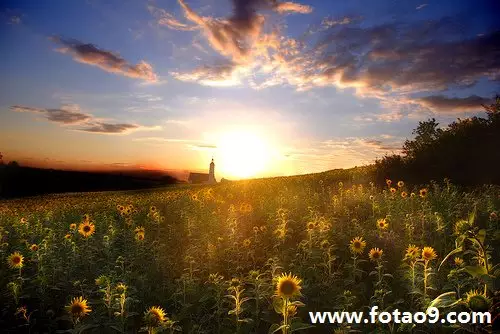 3、未婚女人梦见自己结婚，会不会死？