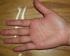 2、掌纹解析，女，右手